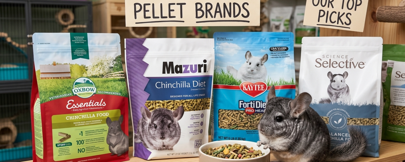 best chinchilla pellets_chinchillacarehq..com