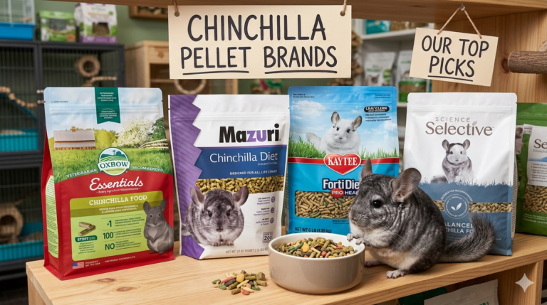 Top 10 Best Chinchilla Pellet Brands in 2026: Vet-Approved, Ranked & Reviewed